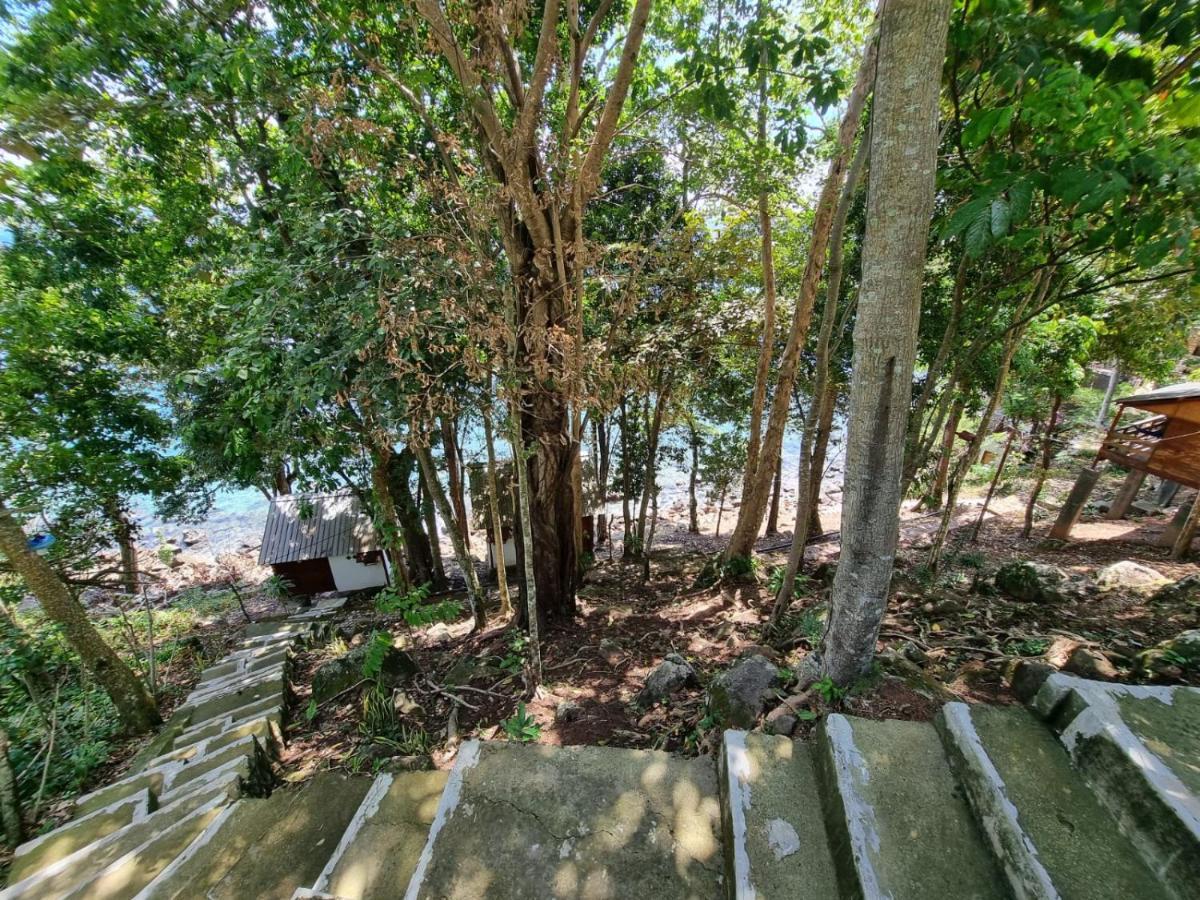 סבאנג Treetop Guesthouse And Bungalows מראה חיצוני תמונה