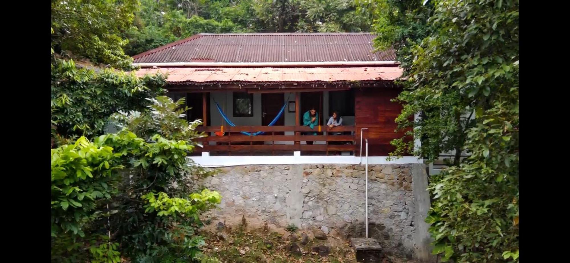 סבאנג Treetop Guesthouse And Bungalows מראה חיצוני תמונה