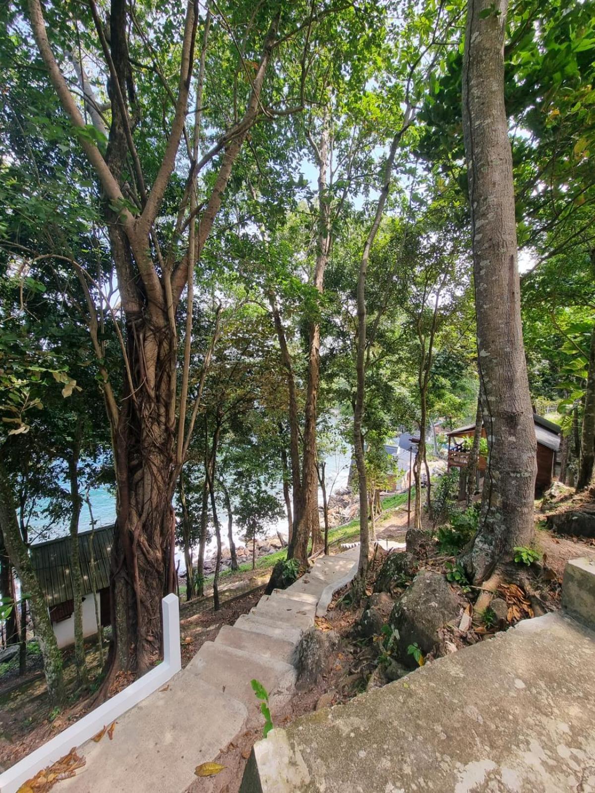 סבאנג Treetop Guesthouse And Bungalows מראה חיצוני תמונה
