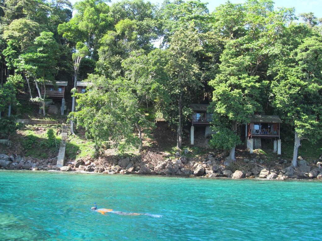 סבאנג Treetop Guesthouse And Bungalows מראה חיצוני תמונה